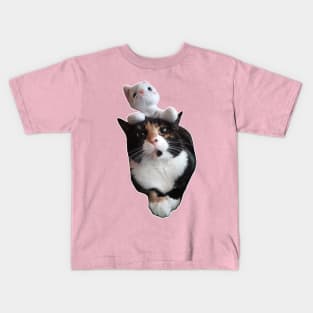 The Cat Stack - a cat with a plush cat stacked on top of it Kids T-Shirt